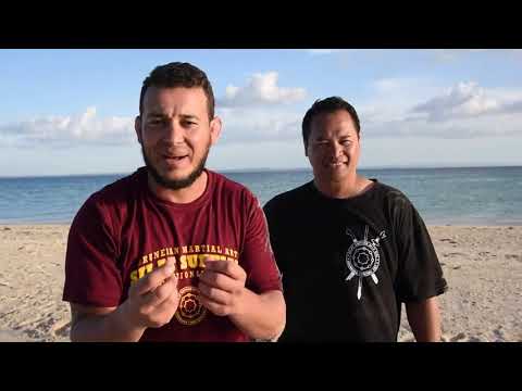 ტაიკვანდური ჩხუბების ნაირსახეობები.