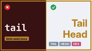 Unix & Linux: Hex dump only the beginning and the end of a file with xxd