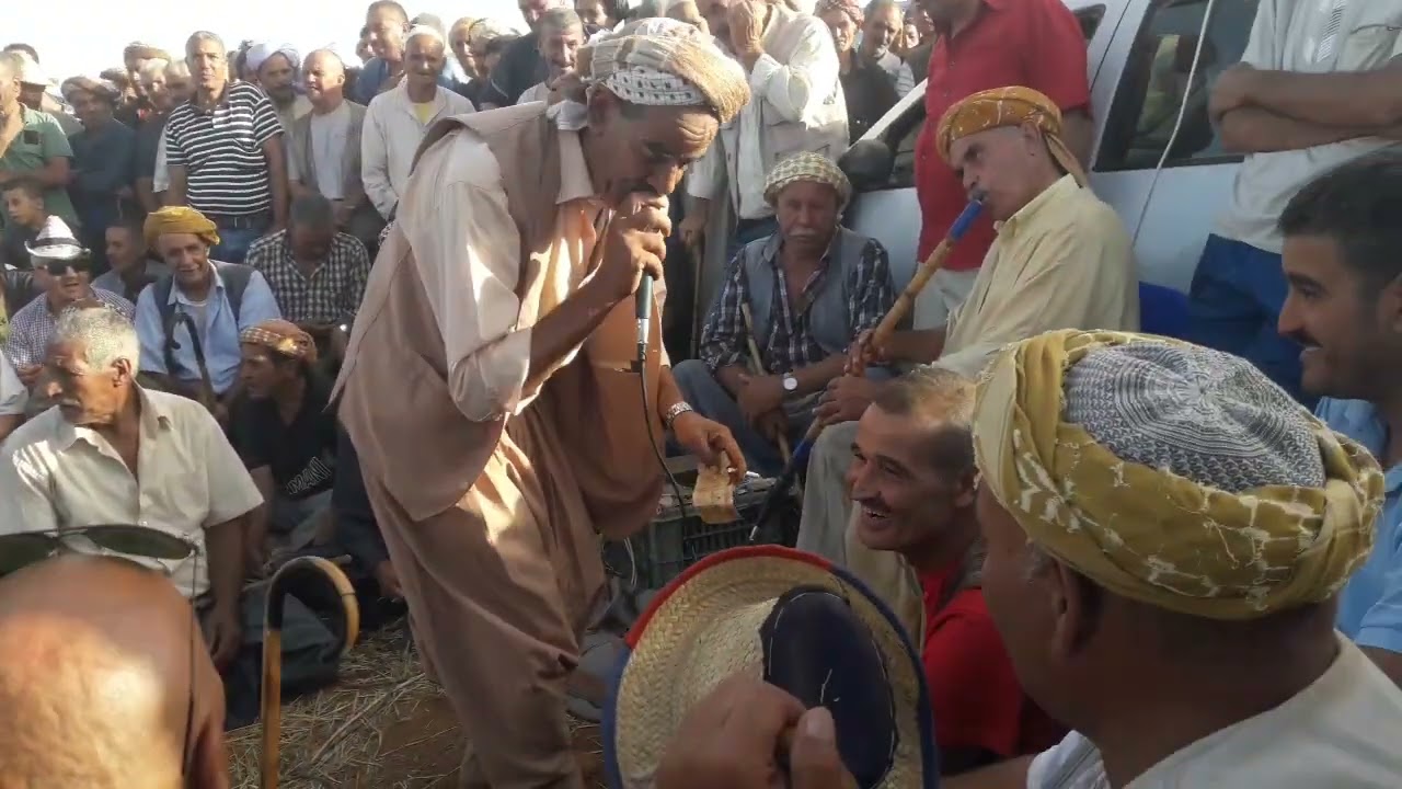 وين بغيتو تصيبو قعد كما هادي معى الشيخ سالم