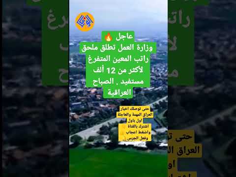 وزارة العمل تطلق ملحق راتب المعين المتفرغ لأكثر من 12 ألف مستفيد