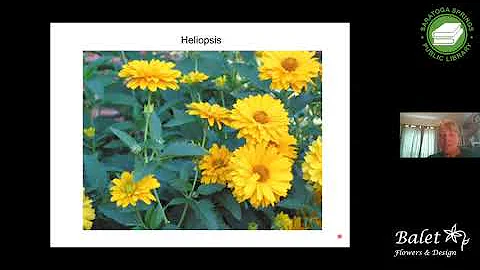 Native Plants for Your Garden with Suzanne Balet-H...