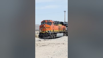 TRAIN SHORTS #00641 / WB BNSF 4262 WILD CROSSING 11-5-2025 #passengertrain #train  #bnsf