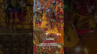 Alegoria da Grande Rio representa nascimento do manguebeat