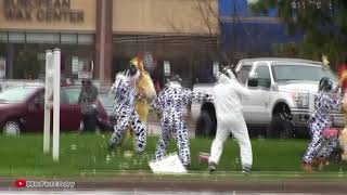 COW VS CHICKEN FIGHT (SHORT EDIT WITH MUSIC) screenshot 4