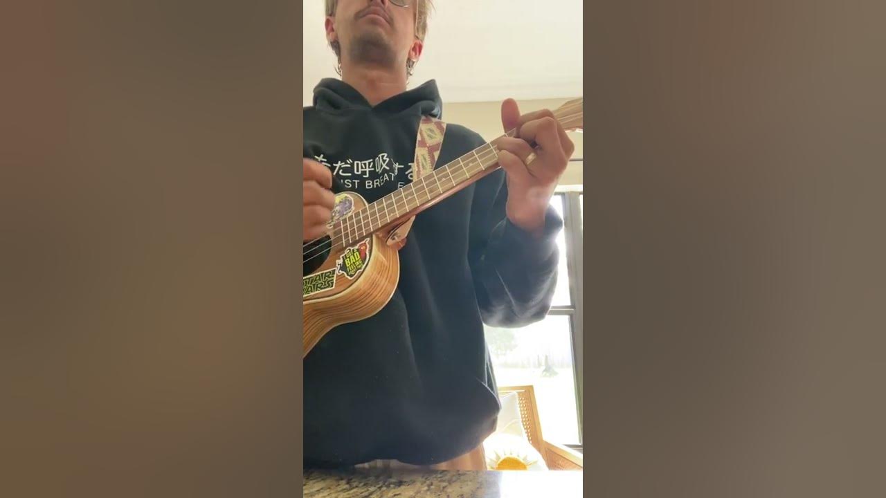 Big jet plane - angus and Julia stone Ukulele Cover
