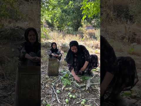 زندگی روستایی  روستا