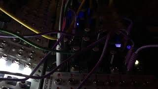 Famous Make Noise Mimeophon - First Patch - Eurorack Ambient (Rings, 2hp Verb) Net Worth
