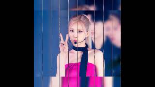 Blackpink Rose On The Ground Photos