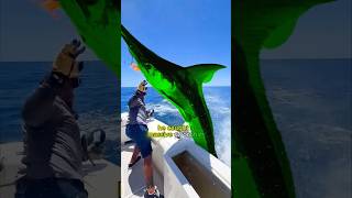 The swordfish was about to do something much worse.