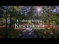 【Healing video】"Kinchakuda" bird and insect calls!!!