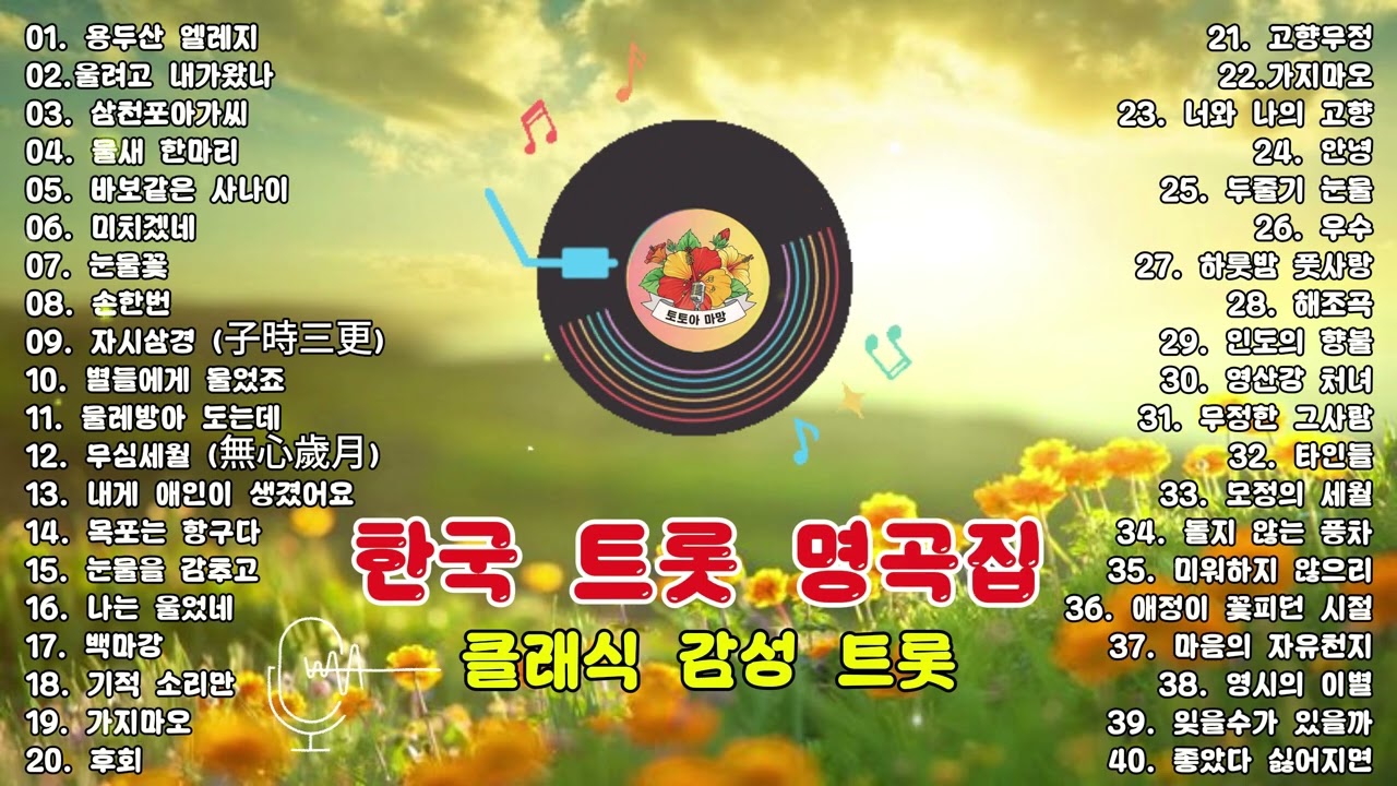 추억의 한국 트롯 명곡선 │ 시간 속에 남은 노래들 │가슴에 남은 옛 노래 💔 (연속재생) 이난영 · 이민숙 · 홍진영