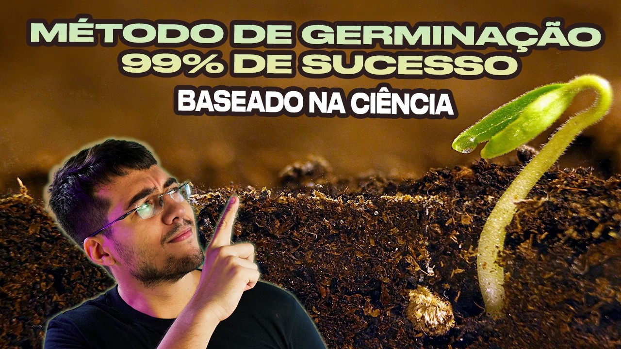 GUIA completo de como GERMINAR e TRANSPLANTAR suas SEMENTES