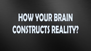 How Your BRAIN Constructs the WORLD Around You