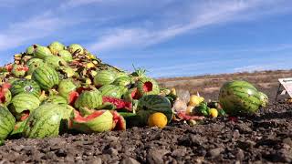 Los Reales Compost Facility