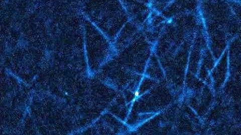 Label-free Imaging and Bending Analysis of Microtubules by ROCS Microscopy and Optical Trapping