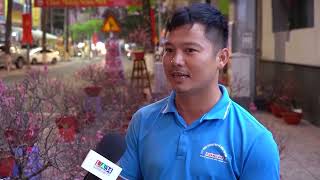 Hoa đao mien Bac khoe sac o phuong Nam