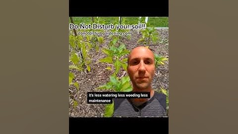 Do not disturb your soil!