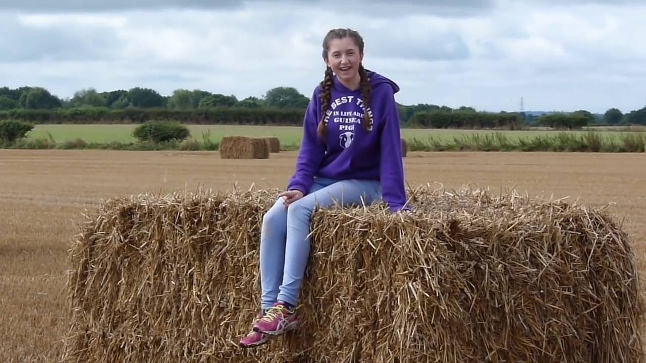 Preparing For Autumn & Winter | Guinea Pigs & Rabbits