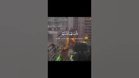 قران كريم #قران_كريم #quran #فلسطين_حره #اللهم_صل_وسلم_على_نبينا_محمد #غزه_تباد