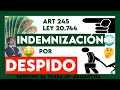 CURSO #4💲⚖️¿Cuánto te corresponde? 💲INDEMNIZACIÓN por DESPIDO Art 245 LCT. ARGENTINA -Vizzoti