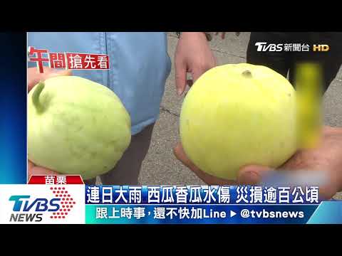 連日大雨！西瓜香瓜水傷　災損逾百公頃