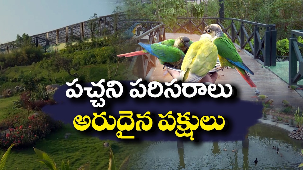 New Bird Park Opens Near Himayat Sagar | A New Attraction in Hyderabad