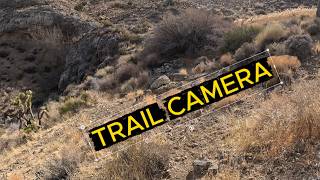 I Found a Trail Camera in the Mountains While Searching for Kenny Veach