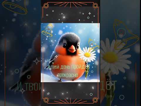Доброе утро! #доброеутро #сдобрымутром #видеооткрытка#зима #новыйгод