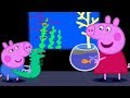 Свинка Пеппа на русском все серии подряд 🐟 Аквариум | Мультики