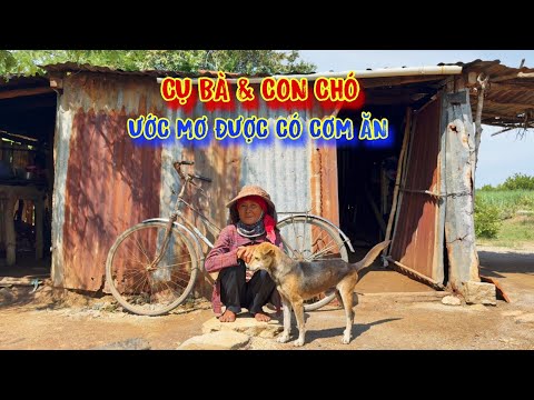 CỤ BÀ và con chó, sống trong CĂN NHÀ mục nát, CƠM ăn bữa đói, BỮA NO - tập 1123