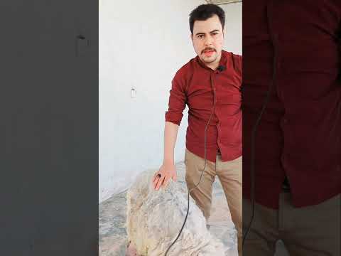 فحص النعجه ب7خطوات