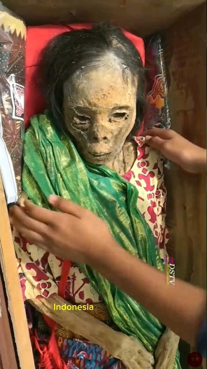 Ma'nane Tana Toraja #shorts #viral #tanatoraja