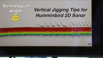 Vertical Jigging Tips for Humminbird 2D Sonar | The Technological Angler