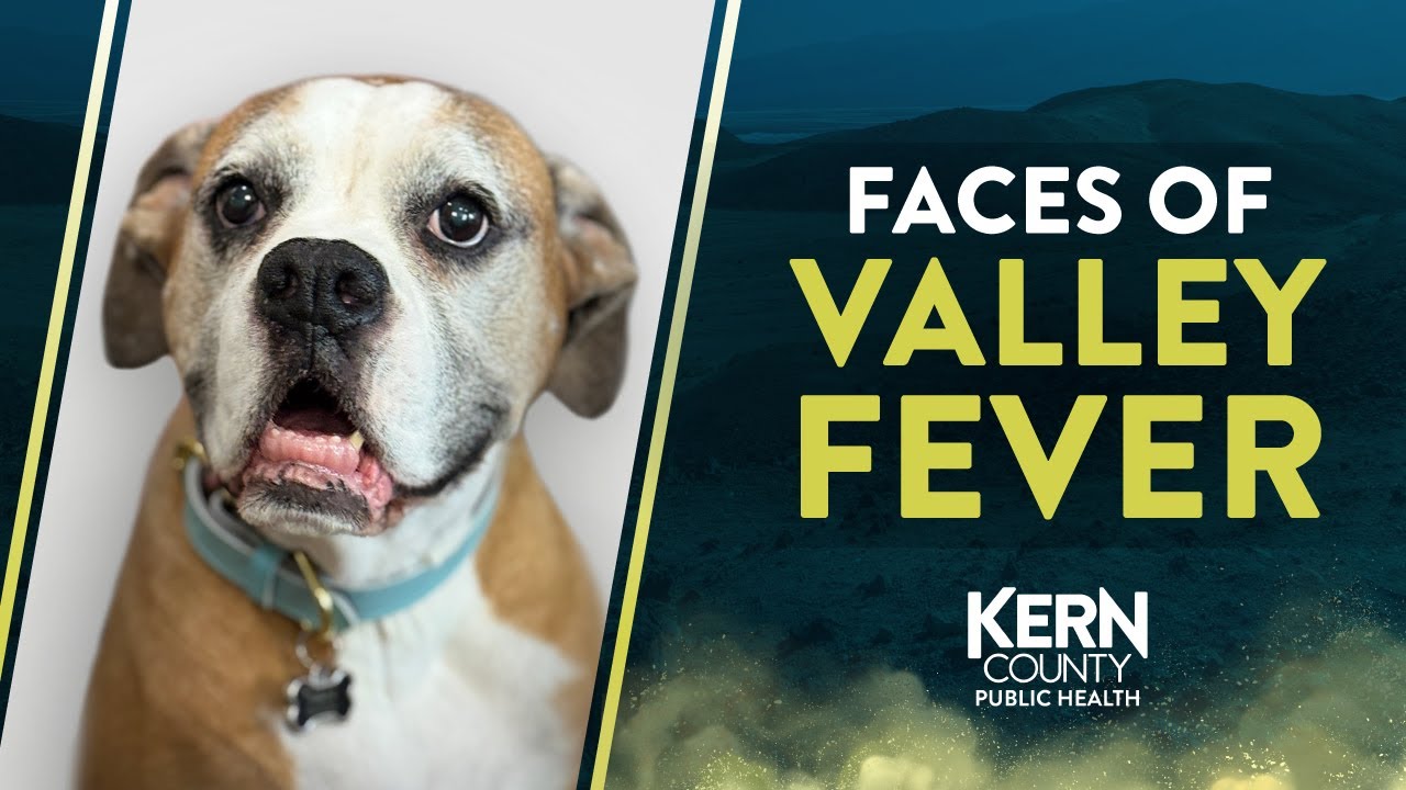 Faces of Valley Fever with Willow