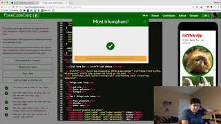 freeCodeCamp: Responsive Design