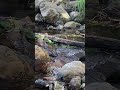 Moment de détente et d’énergie avec la nature 