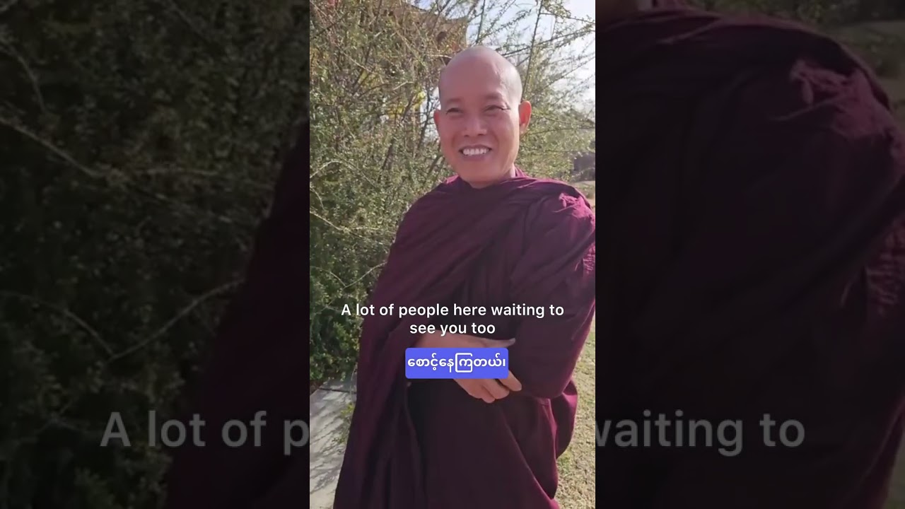 🕊️Walk for peace ☮️🌻Hello Good morning everyone 