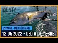 Chasse sousmarine dans le delta de lebre 2022