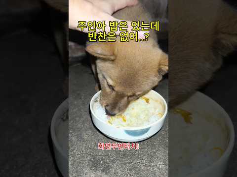 반찬 안 줄 거면 물이라도 말아줘ㅠ thumbnail