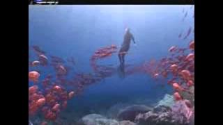 Download lagu RCTI Djarum Black