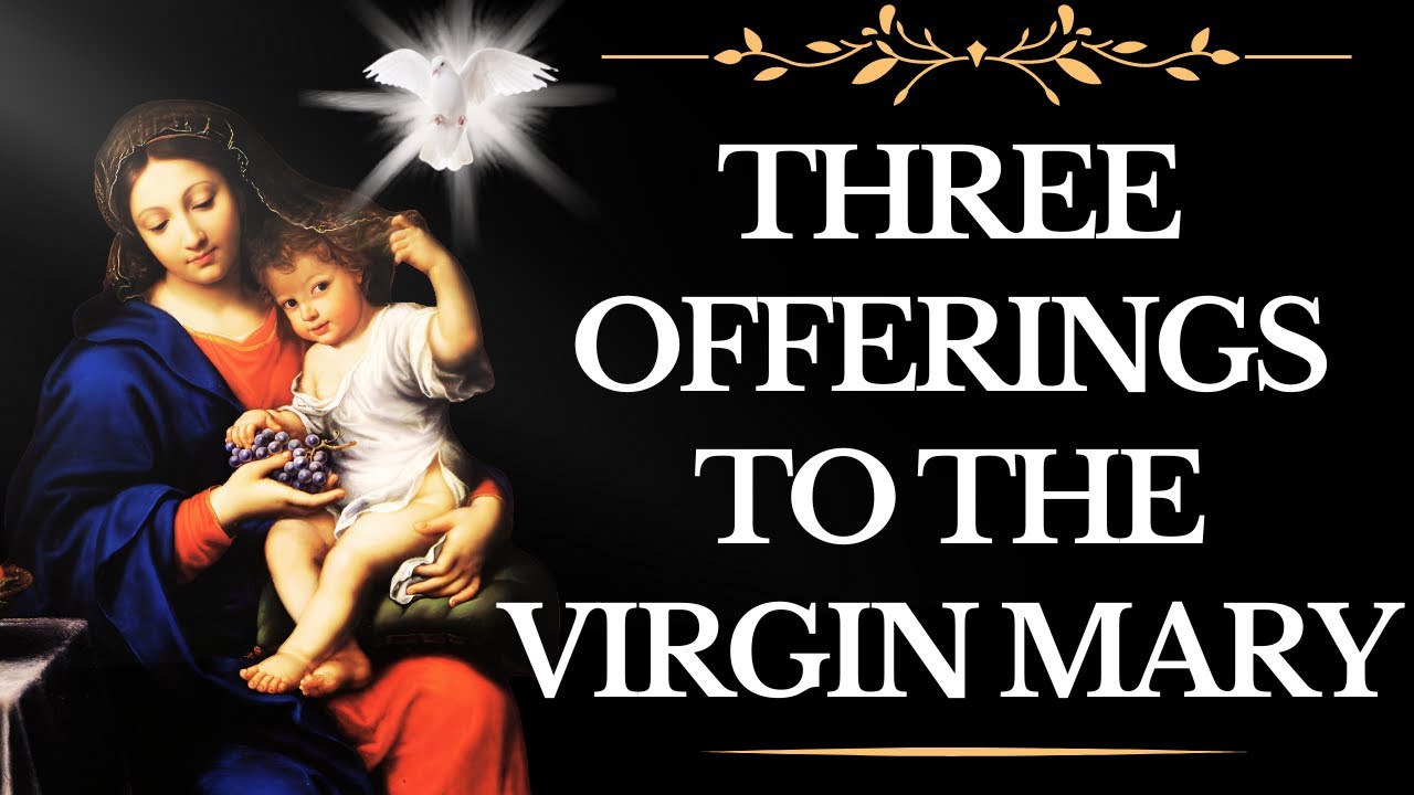 Three Offerings In Honor Of The Blessed Virgin Mary 300 Days three-offerings-in-honor-of-the-blessed-virgin-mary-300-days