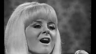 HQ / The New Christy Minstrels Live - Brian Henderson Bandstand 1966 - The Concert