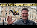 Московский модерн. Дом с летучими мышами и грозный филин