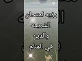 تفسير حلم امتحان اللغه الشريعه والدين بالتفصيل لابن سيرين 