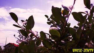How to Shoot Cinematic Using Smartphones only|Uncle-jewtv