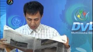 DVB - Newspaper B 20142109
