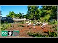 🐘 Flamingo Habitat | City Zoo | Speed Build | Planet Zoo |