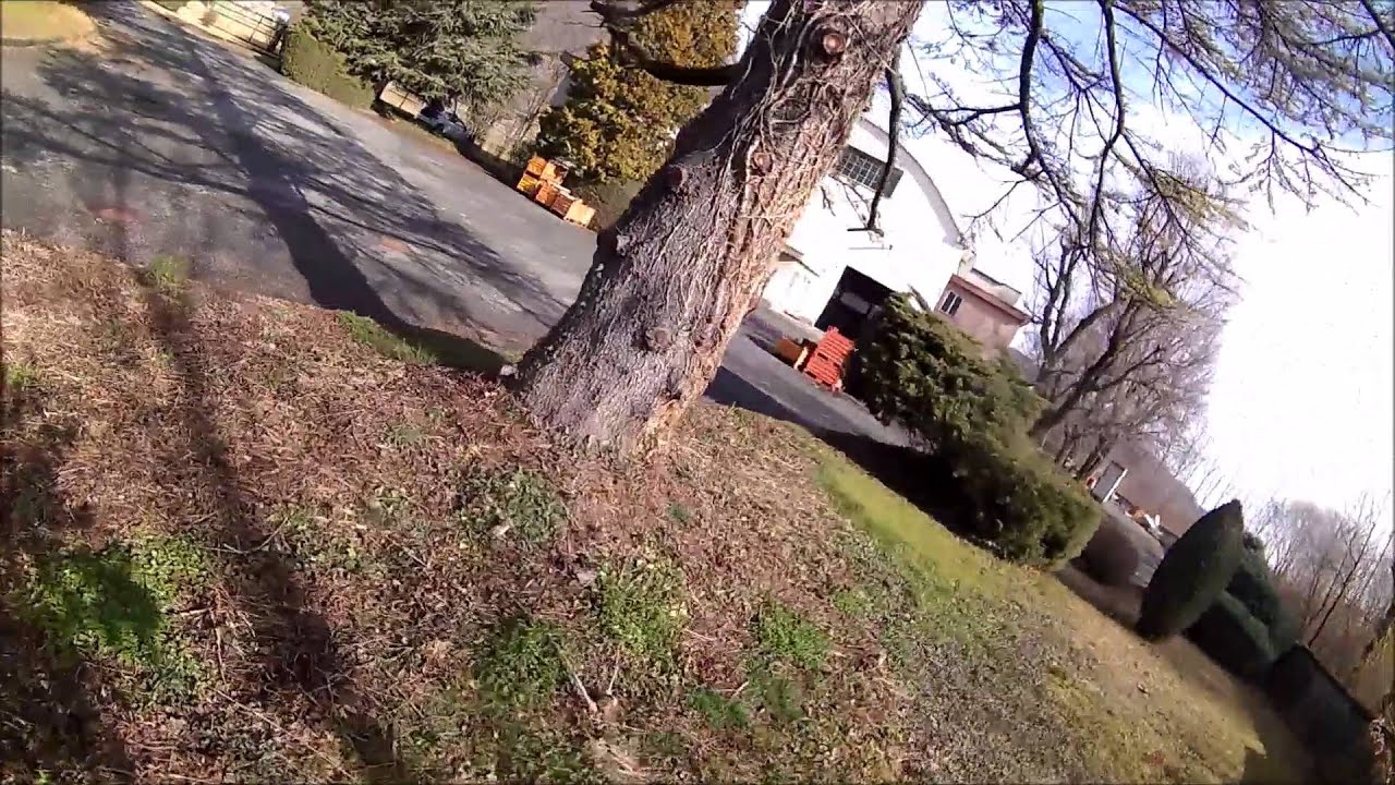 Dolphin85 new location