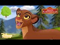 Hayat Ağacı Aslan Koruyucular Disney Channel Türkiye 