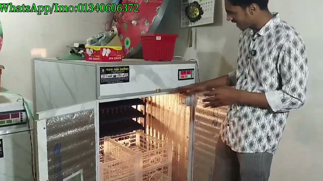 কম দামে সব চেয়ে ভালো মানের অটো ইনকিউবেটর নিতেচান তাহলে আপনার জন্য সবচেয়ে ভালো হবে এই অটোইনকিউবেটর টা